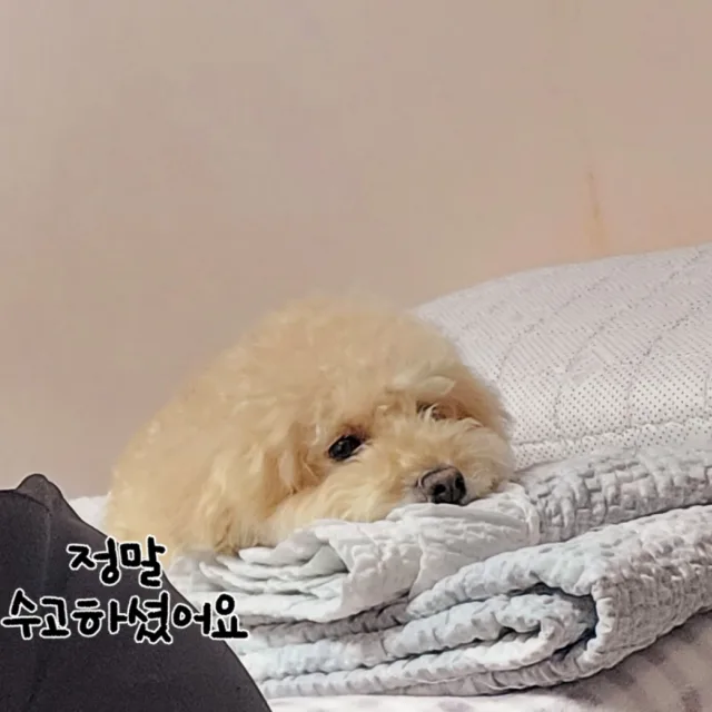 우리랑초코랑