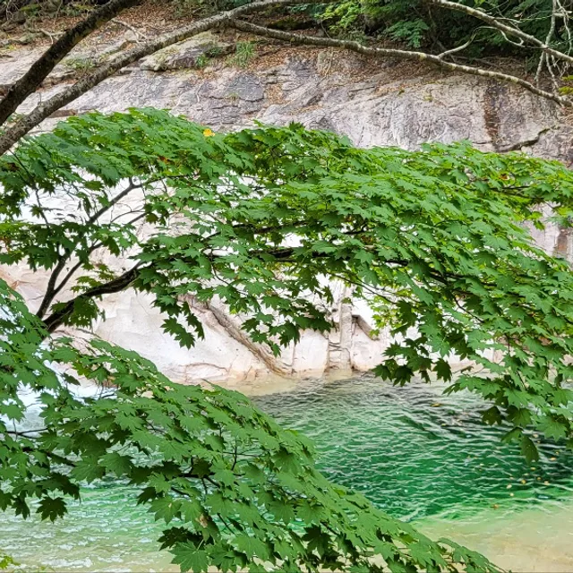 대박일세