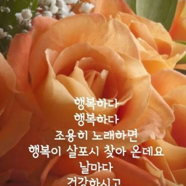 북꿈