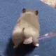 건부