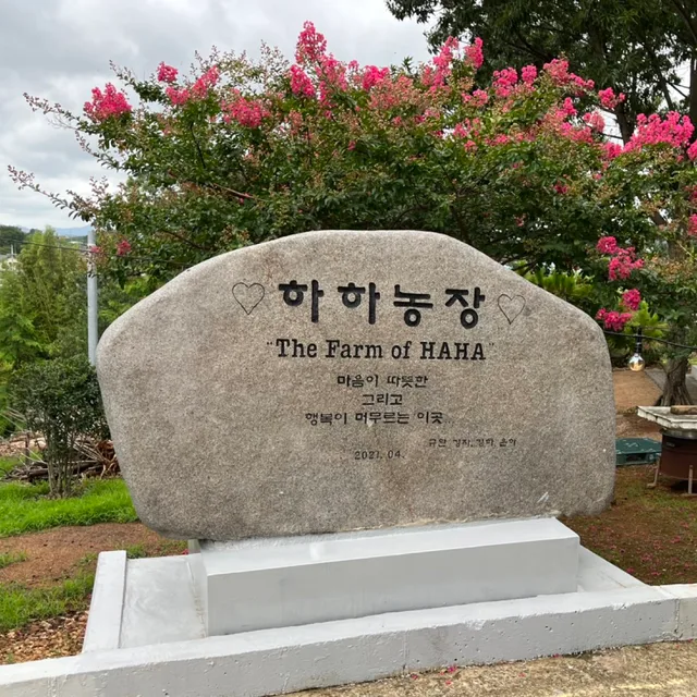 화니화니