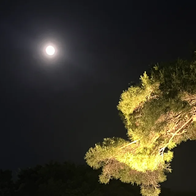 몽글이아빠