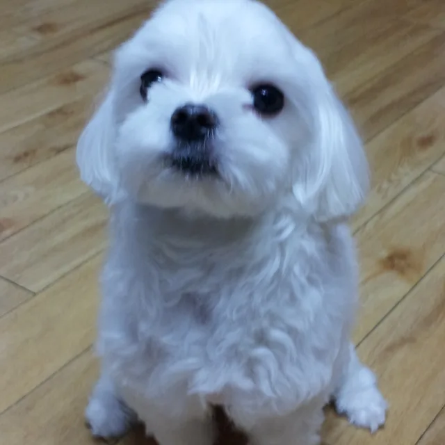 푸른하늘