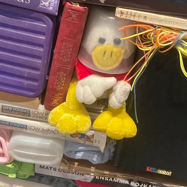 꼬기스