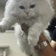 근육빵빵