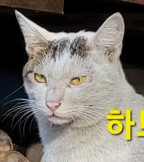 우리가안녕하기를