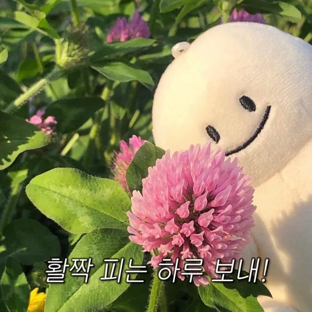 토끼콩