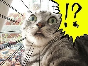 복어