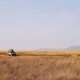 얼레리꼴레리