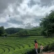 지니유니하트