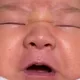 뚠뚠이