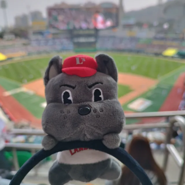 홍당무