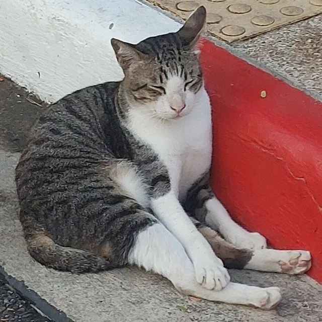 냠냠굿