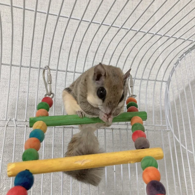엠퍼