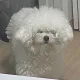 츠키