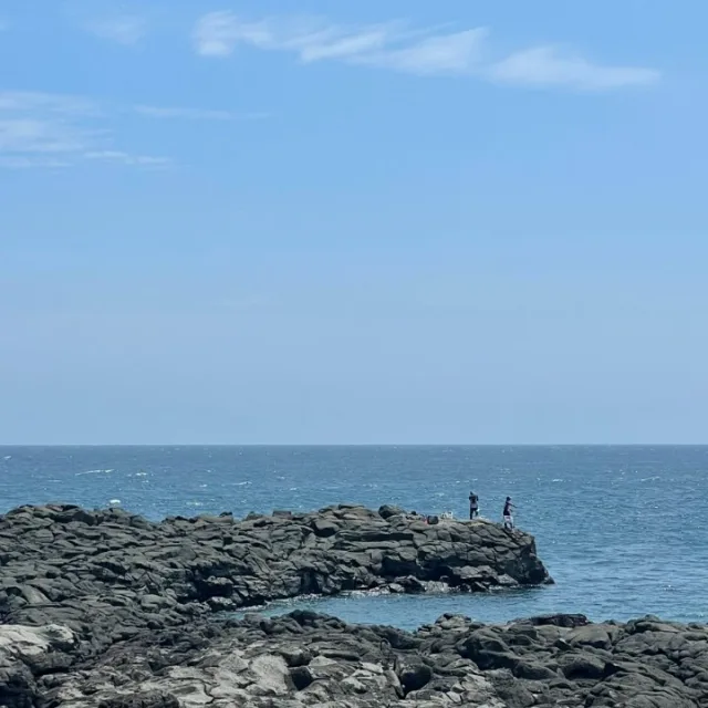 셀프