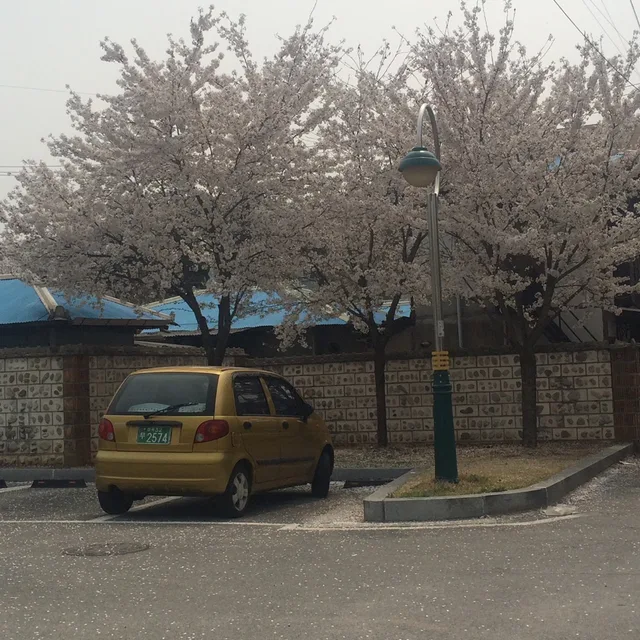 동네구경