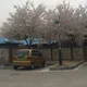 동네구경