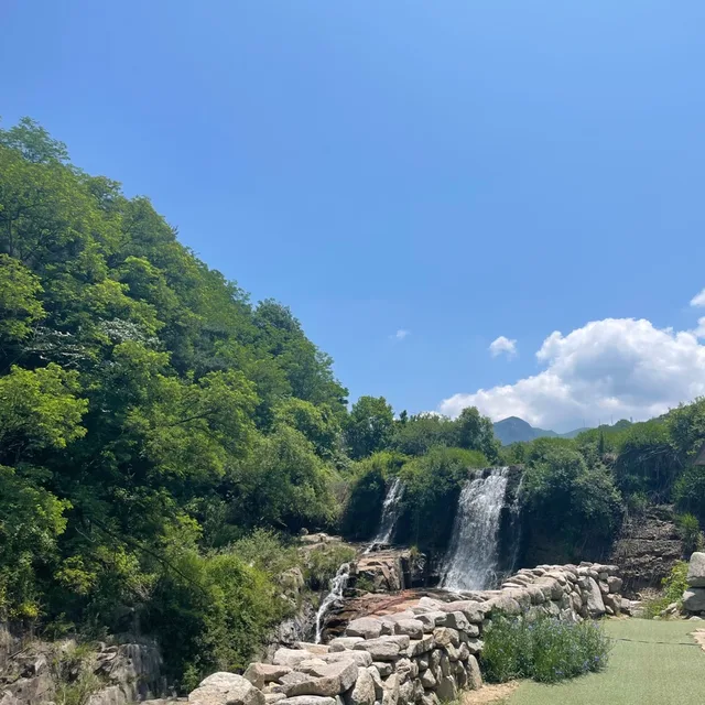 당근이죠