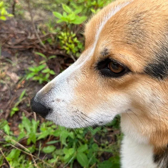 profile