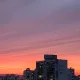 막시무스