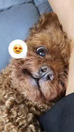 당근이쥐당근