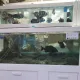 센터장