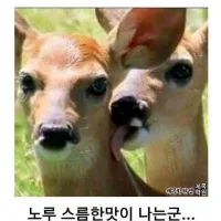 노루스름한맛