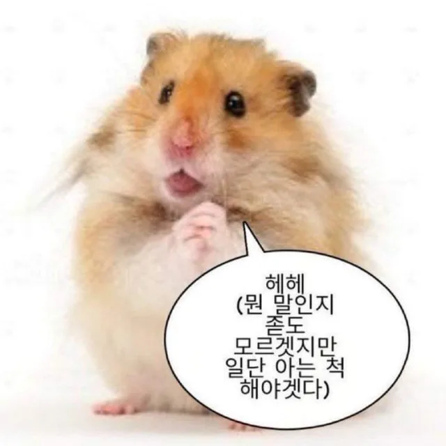 아밀리
