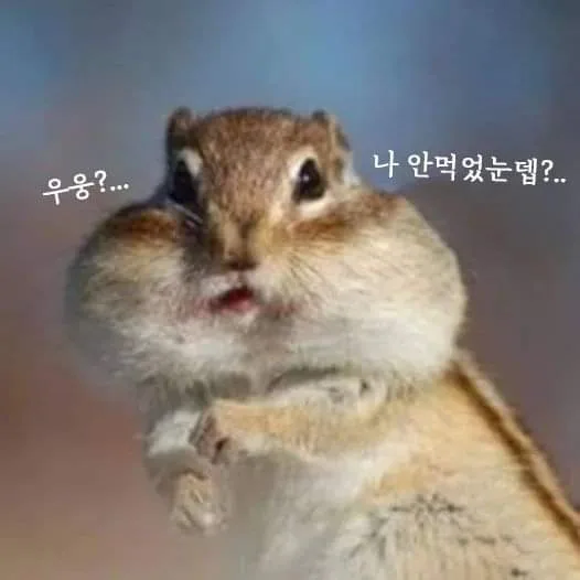냠냠냠