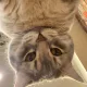 168브로