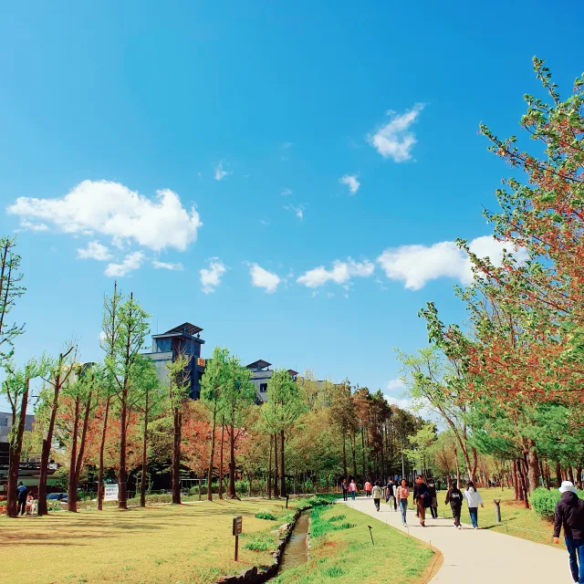 순두부