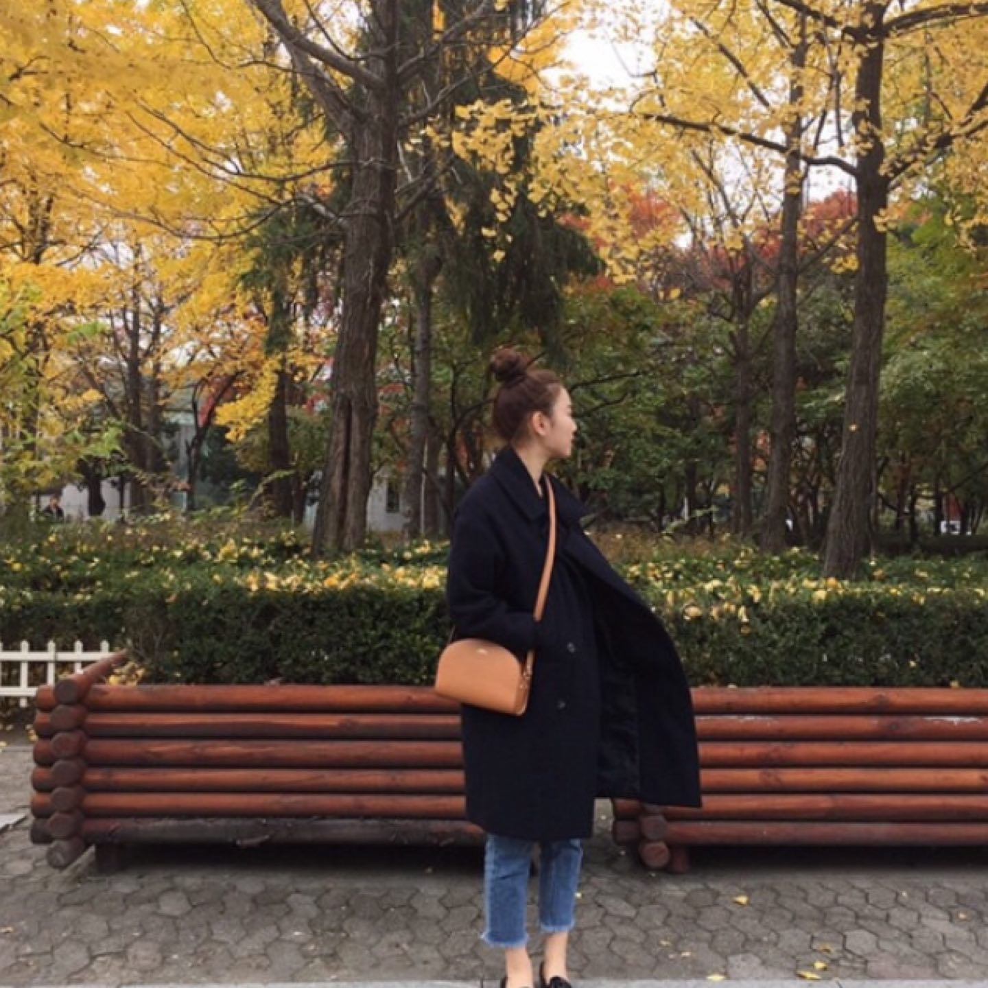 선인장