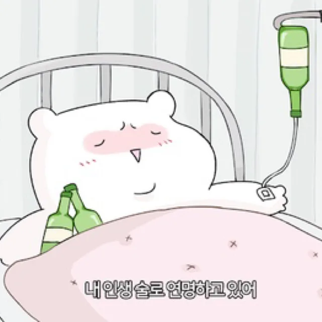 끼토산
