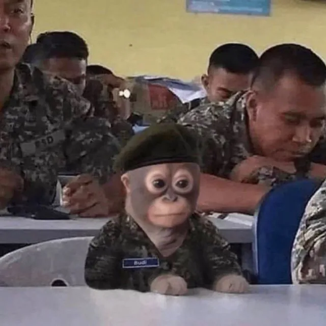 profile