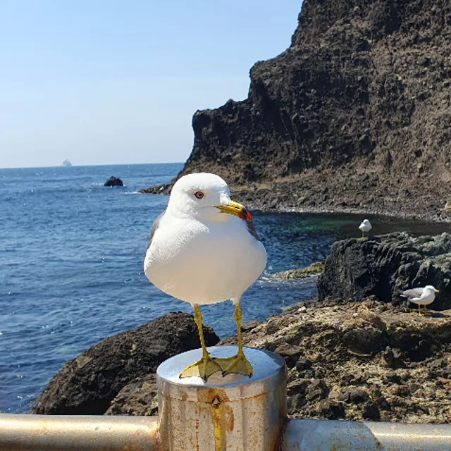 profile
