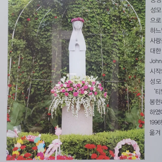 토마토8