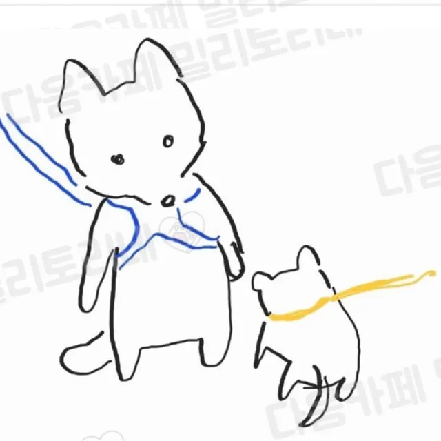설탕이잉