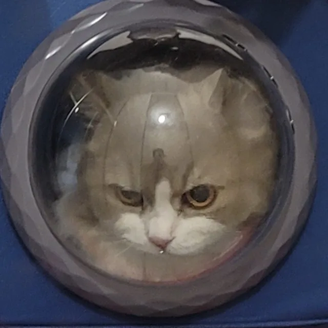 주원선우대디