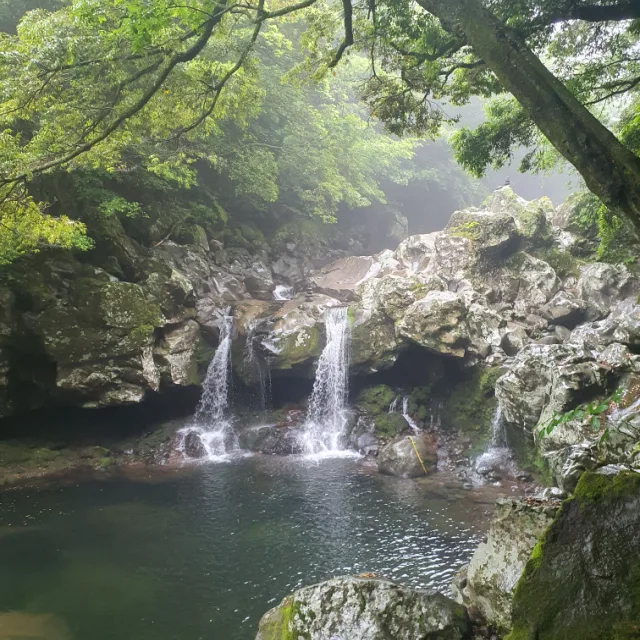 뷰티풀마인드