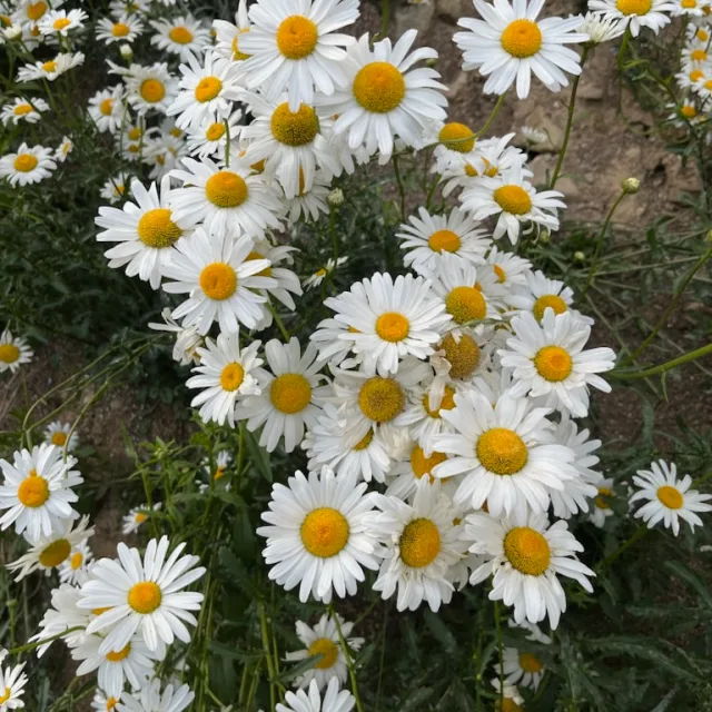 숨쉬자