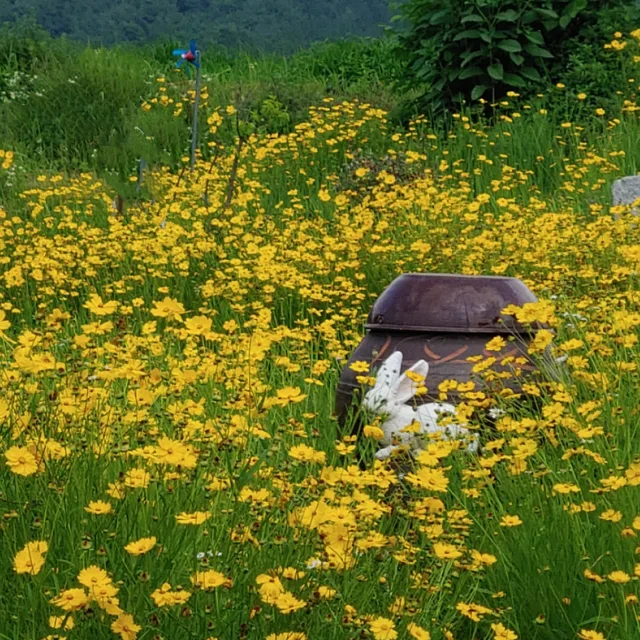 납다기