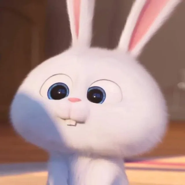 하이루