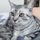 끼룩끼룩