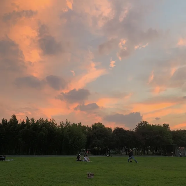 오잉