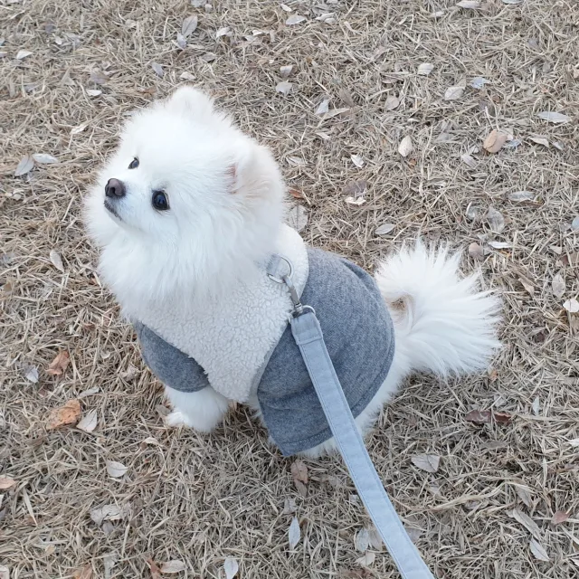 비니맘