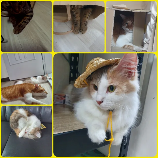 선물상자