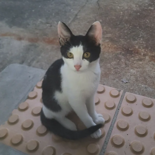 BemyU
