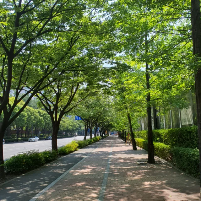 강한사람