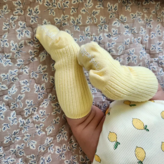 꼰이